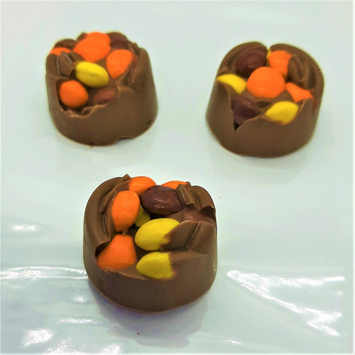 Chocolate Peanut Butter Bittles Bonbons (3pc) - Hot Shot Chocolate